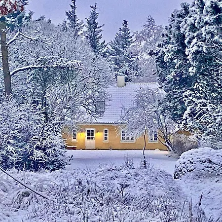 Wrapped In Woodland Peace In Denmark 펜션