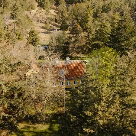 Wrapped In Woodland Peace In Denmark Ålbæk