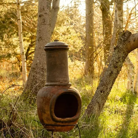 Wrapped In Woodland Peace In Denmark *