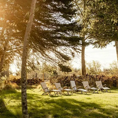 Wrapped In Woodland Peace In Denmark * Ålbæk