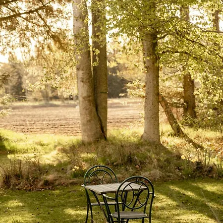 Wrapped In Woodland Peace In Denmark * Ålbæk