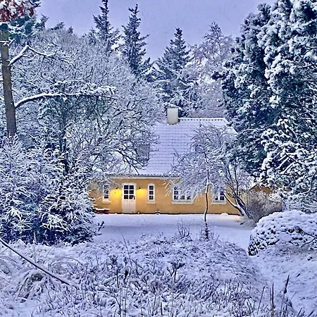 Wrapped In Woodland Peace In Denmark *