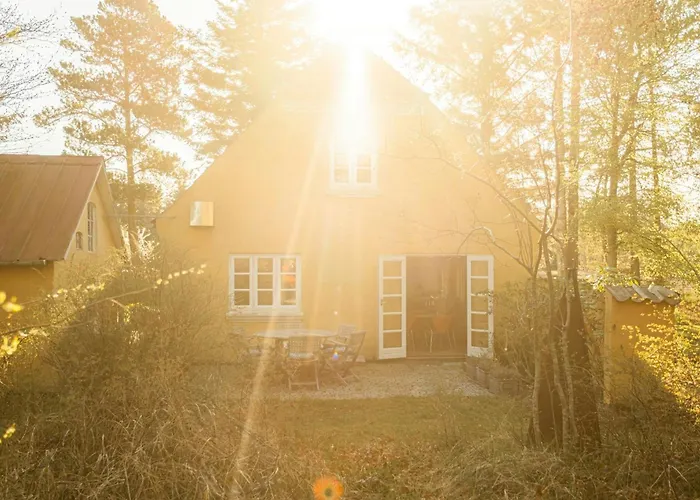 Wrapped In Woodland Peace In Denmark Semesterbostad Ålbæk