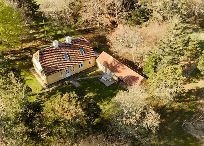 Wrapped In Woodland Peace In Denmark Semesterbostad Ålbæk