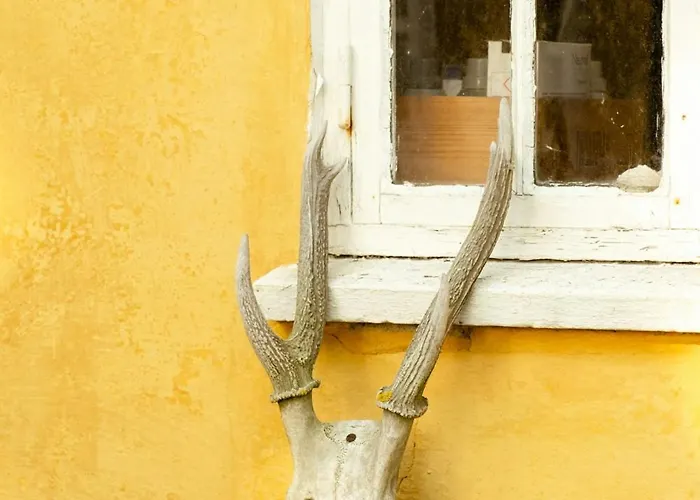 Semesterbostad Wrapped In Woodland Peace In Denmark Ålbæk