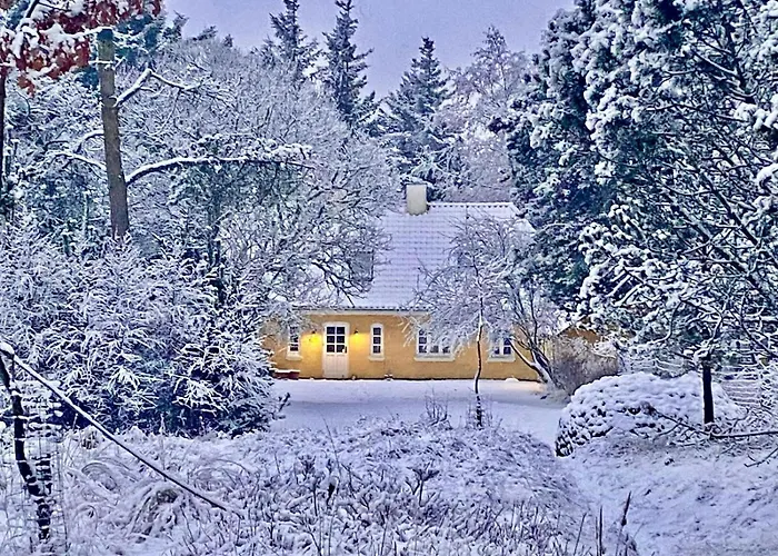 Wrapped In Woodland Peace In Denmark Semesterbostad