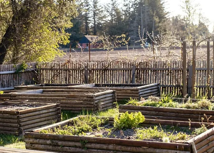 Wrapped In Woodland Peace In Denmark * Ålbæk