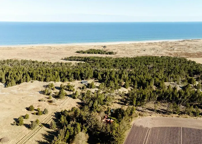 Semesterbostad Wrapped In Woodland Peace In Denmark Ålbæk