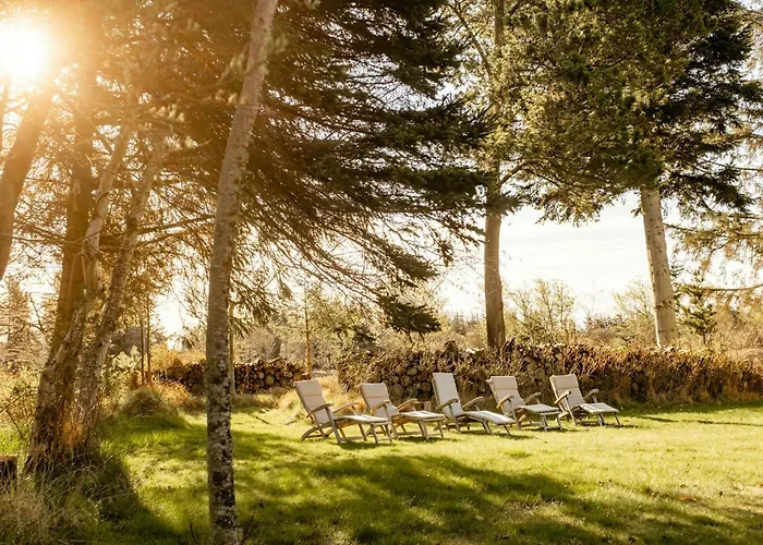 Wrapped In Woodland Peace In Denmark * Ålbæk