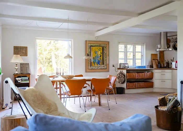 Wrapped In Woodland Peace In Denmark Ålbæk