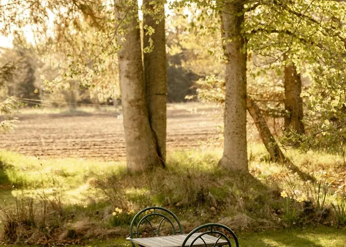 Wrapped In Woodland Peace In Denmark * Ålbæk