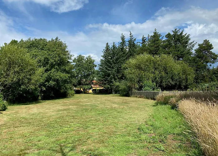 Wrapped In Woodland Peace In Denmark